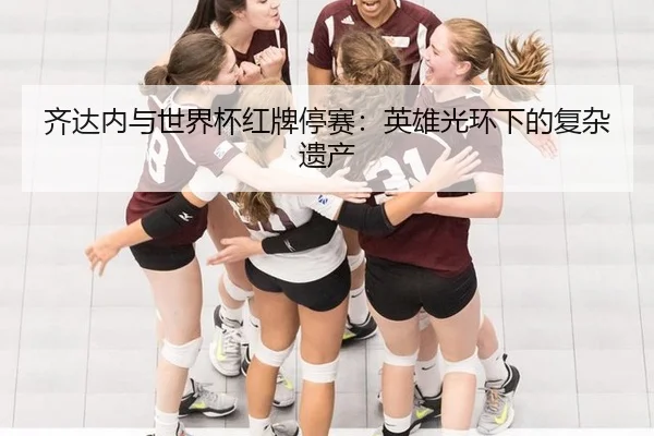qi-da-nei-yu-shi-jie-bei-hong-pai-ting-sai-ying-xiong-guang-huan-xia-de-fu-za-yi-chan-2-464.jpg