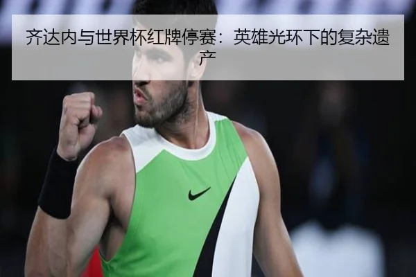 齐达内与世界杯红牌停赛：英雄光环下的复杂遗产